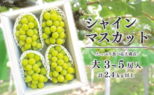 【2026年先行予約】シャインマスカット 上級品 大3-5房/計2.4kg~ (岡山県産)【KF-B072-02】