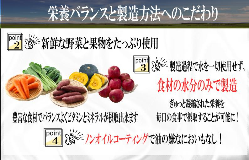 【定期便】国産 無添加 ドッグフード「いのちのごはん」500g×全3回【毎月配送コース】 099Z168_イメージ3