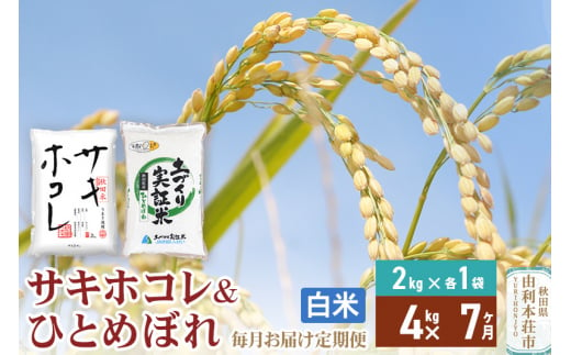 《定期便7ヶ月》【白米】令和6年産 サキホコレ2kg・土づくり実証米ひとめぼれ2kg (計4kg) ×7回 計28kg 精米 特A評価米 秋田県産