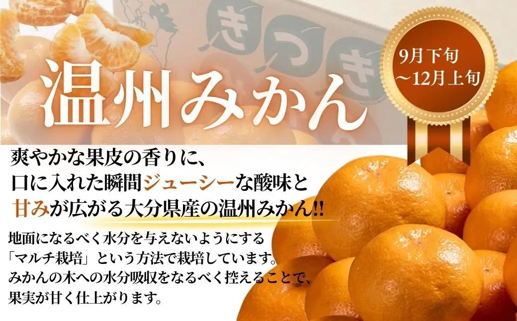 フルーツ 定期便 大分県産旬の フルーツ（全４回） | 津久見市
