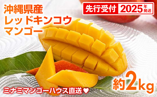 
            【先行受付】【2025年発送】ミナミマンゴーハウスの赤金煌(レッドキンコウ）マンゴー約2kg - 先行予約 沖縄県産 産地直送 南国フルーツ 旬の味覚 希少種 希少栽培 オススメ 沖縄県 八重瀬町
          