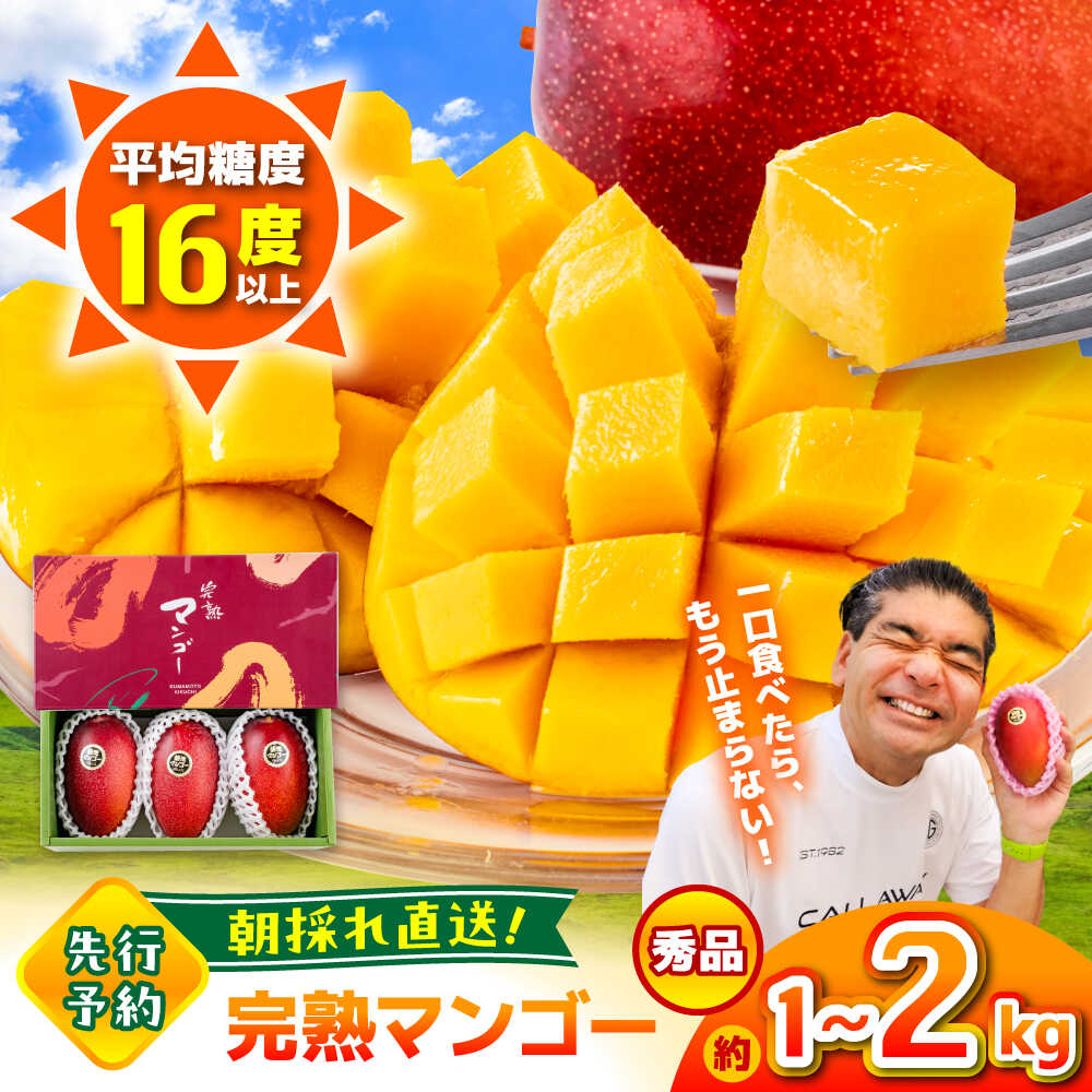 【ふるさと納税】【2026年発送分 先行予約】《選べる容量！》秀品 菊池マンゴー約1kg/約2kg L〜3Lサイズ　【友枝マンゴー農園】[AYDF003]