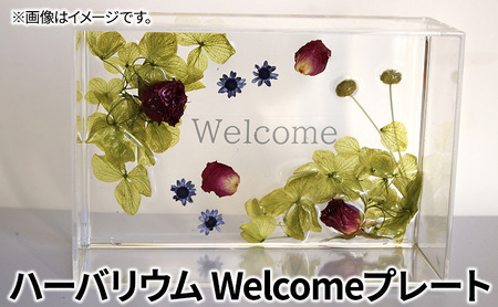 ハーバリウム Welcomeプレート ハンドメイド インテリア ハーバリウム