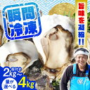 【ふるさと納税】牡蠣 冷凍 殻付き かき カキ 特選 牡蠣三昧！【瞬間冷凍】広島牡蠣 殻付き カキ かき 広島 料理 簡単 魚介類 海鮮 ギフト 広島県産 江田島市/株式会社門林水産[XAO029]