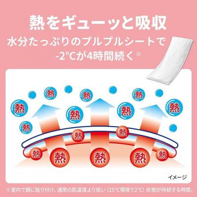 ふるさと納税 新居浜市 小林製薬の熱さまシート 赤ちゃん用 12枚×5箱セット 打ち身 暑さ対策などに |  | 01