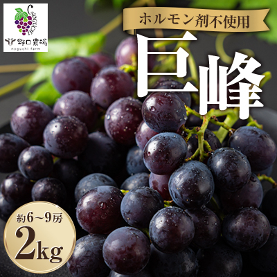
                  福岡県産　巨峰　2kg(野口農場)【1526875】
                