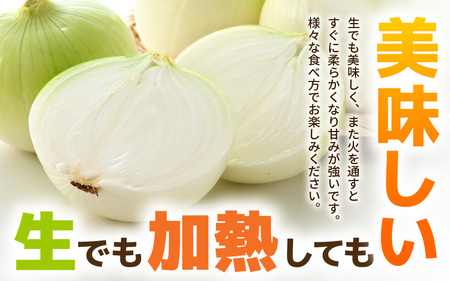 【先行予約】2024年6月発送  採れたて 新玉ねぎ 10kg（サイズ S M L ミックス）田んぼで育てた甘くて柔らか自慢の玉ねぎ！／ 常備 野菜 玉葱 たまねぎ