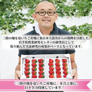 訳あり さんりく星苺 冷凍 2kg 苺 いちご 不揃い 大きさ不揃い 果物 くだもの フルーツ おやつ デザート アイス ジャム ストロベリー strawberry 岩手県 大船渡市