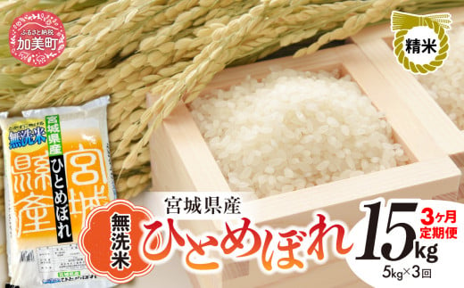 【3回定期便】新米 無洗米 令和6年度産 宮城 ひとめぼれ 15kg (5kg×3回)  [菅原精米工業 宮城県 加美町 ]  | sw00003-r6-5kg-3