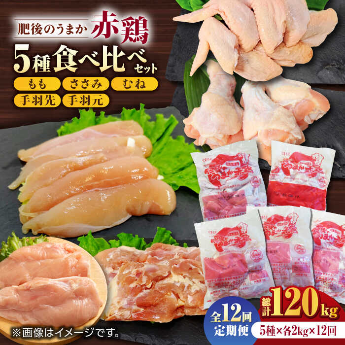 【ふるさと納税】【12回定期便】肥後のうまか 赤鶏 5種食べ比べセット（モモ ささみ ムネ 手羽先 手羽元）各2kg【山内飼料 株式会社 熊本営業所】[ZAB014]