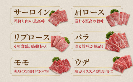 宮崎牛6種盛り焼肉食べ比べ300g_MJ-N202