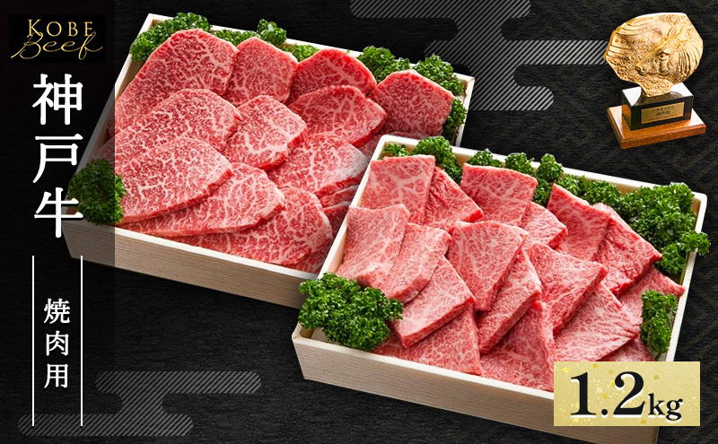 神戸牛 焼肉用 セット 計1.2kg AKYS5[ 肉 牛肉 神戸ビーフ かたロース ロース かた もも バーベキュー キャンプ アウトドア ]