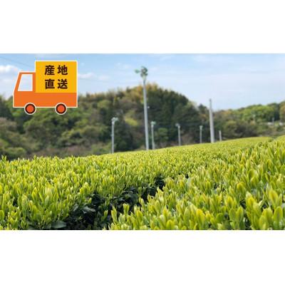 ふるさと納税 八女市 生産農家の自家用八女茶1kg(便利な小分け250g×4袋) |  | 02