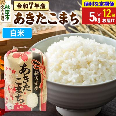 ふるさと納税 秋田市 定期便12ヶ月 あきたこまち5kg 白米 令和7年|15_kml-010512h