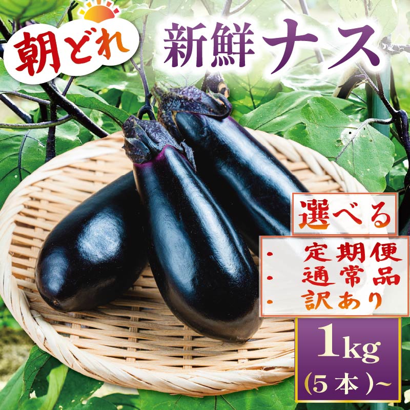 【ふるさと納税】 【この時期だけの日本一ナスを幅広いサイズでお届け！】 新鮮 なす 生産量日本一 茄子 選べる内容量 訳あり わけあり 通常品 定期便 野菜 やさい 産地直送 朝採り 採りたて 先行予約 期間限定 旬の野菜 高知県 安田町1kg 2kg 20本 50本 2回定期便