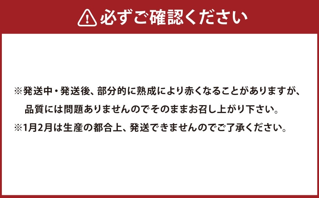 AY-2 丸ごと食べられる！波崎ジャンボピーマン　4kg（約70個入り）
