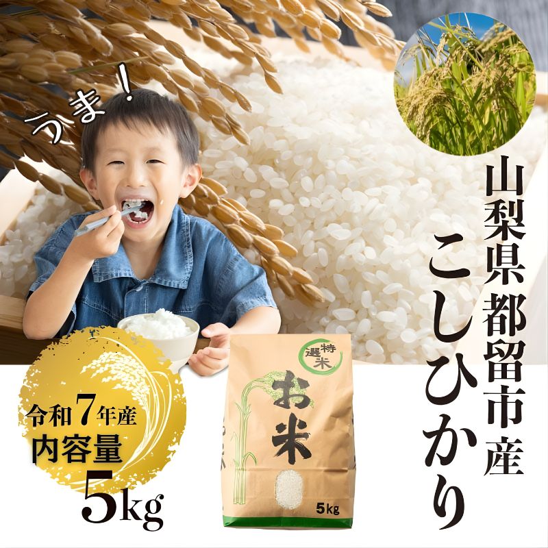 【令和７年産】山梨県都留市産こしひかり[5kg]　お米 コメ 米 コシヒカリ  令和７年度産