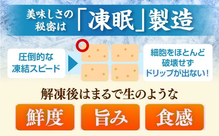 【ギフトBOX付き】福岡限定！はかた地どり美人水炊きセット　2～3人前　  