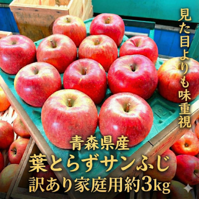 【26年4月～5月中旬予定】平均糖度13度以上! 葉とらずサンふじ 約3kg 訳あり 青森りんご【配送不可地域：離島・沖縄県】