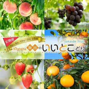 坂出のいいとこどり定期便 【7月・8月・9月・12月・1月・2月】 全6回