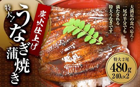 うなぎ蒲焼き2尾入り 430g～480g（蒲焼たれ4袋 山椒付き）［KS5］