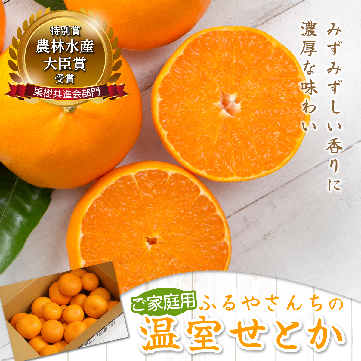 AD-AB1≪期間限定・先行予約≫　数量限定！訳あり 農林水産大臣賞受賞農園！ふるやさんちの温室せとか(約5kg・20〜24玉※サイズ混合)【ふるやさんちのみかん園】