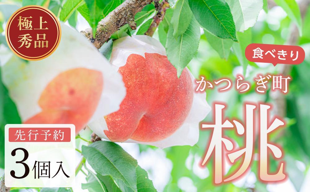 桃 極上秀品 食べきりやすい3個入［先行予約］［2026年7月末から8月末順次発送］こだわり農家厳選！［KG18］ 303446_XM90018