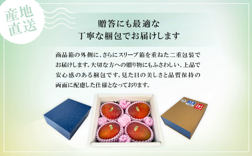 【2027年6月下旬から順次発送】かみざと農園の贈答用アップルマンゴー2kg【配送不可地域：離島】