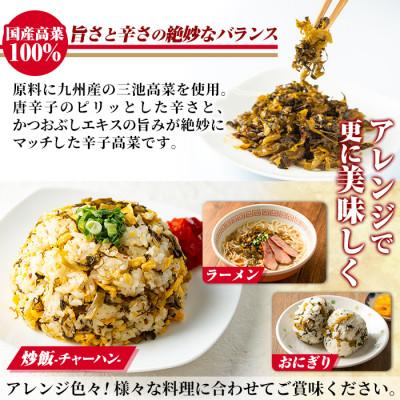 ふるさと納税 姶良市 九州産辛子高菜セット4kg(1kg×4パック) 姶良市 a568【九州新進】 |  | 02