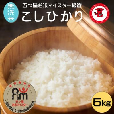 ふるさと納税 銚子市 千葉県産コシヒカリ 無洗米 5kg【五ツ星お米マイスター厳選】