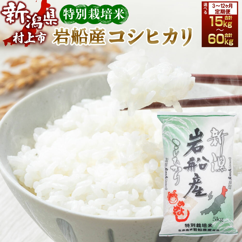 【ふるさと納税】【令和7年産米】【定期便】【お届け回数が選べる】 特別栽培米 新潟県 岩船米 コシヒカリ 5kg×3ヶ月・6ヶ月・12ヶ月　お米 精米 白米 ご飯 ごはん 村上市 1013011 1013012 10130013