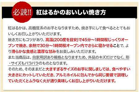 熊本県大津町産 中無田農園の紅はるか 約5kg (大中小サイズ不揃い) 熊本県大津町 《12月上旬-12月末頃出荷(土日祝除く)》 さつまいも 芋 スイートポテト 干し芋にも 名産地 特産品 秋 旬---fn_nkmtben_ac12_24_8000_5000g--