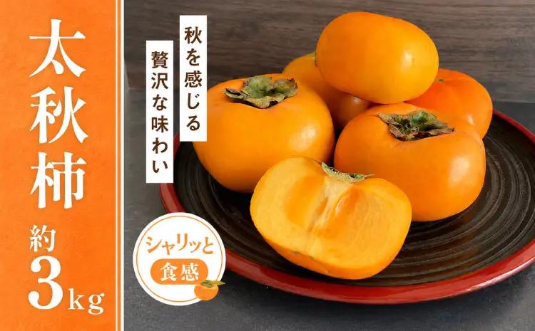 先行予約 柿 太秋柿 3kg くまふる宇城