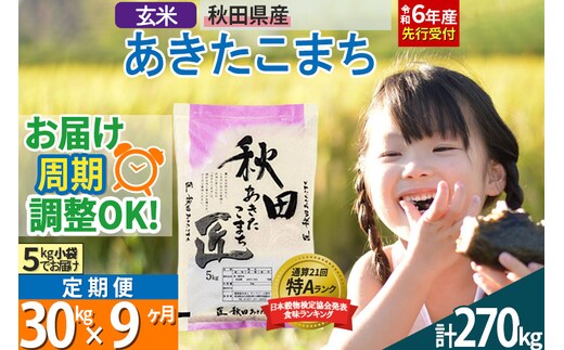 
										
										【玄米】＜令和6年産 予約＞ 《定期便9ヶ月》秋田県産 あきたこまち 30kg (5kg×6袋)×9回 30キロ お米【お届け周期調整 隔月お届けも可】
									