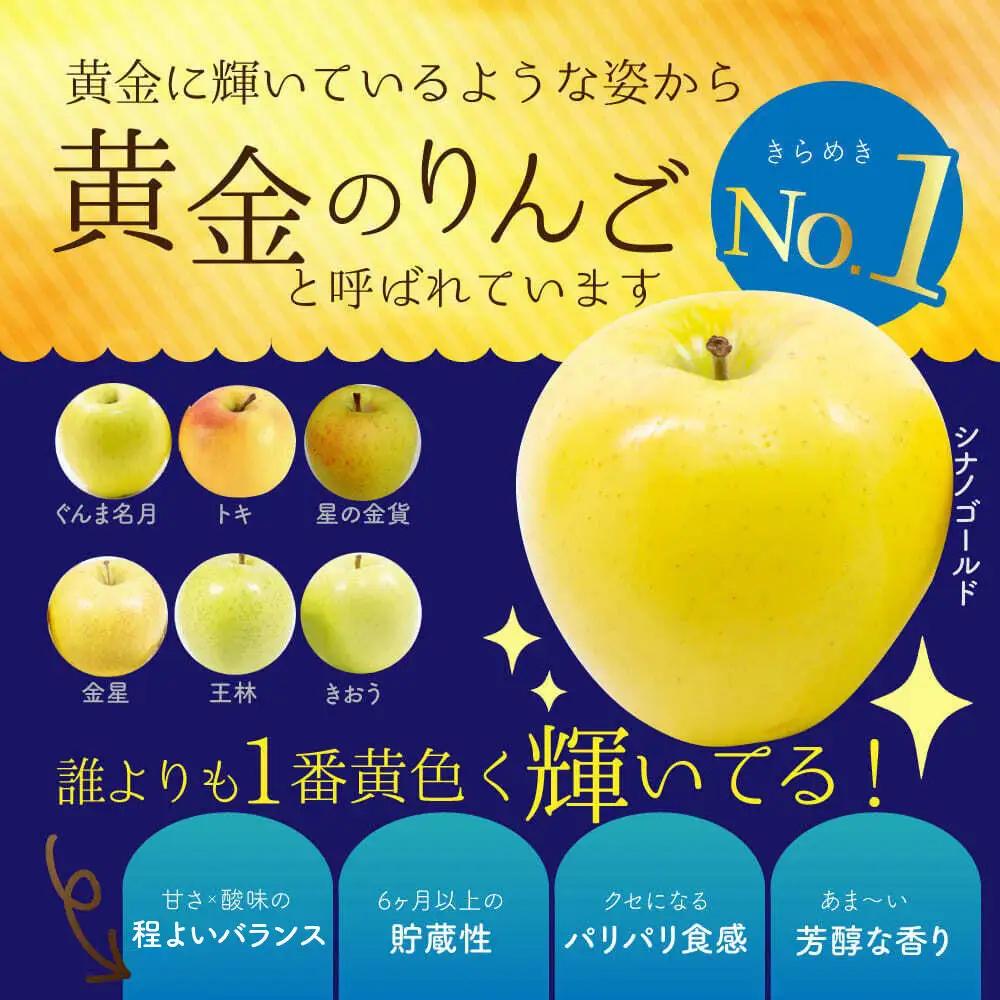 【26年10月下旬～発送】りんご シナノゴールド【贈答用】約3kg 内のし付き 青森県 弘前市