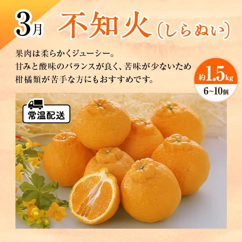 みかん 柑橘定期便 4回 1〜4月 青島 せとか 不知火 みかん