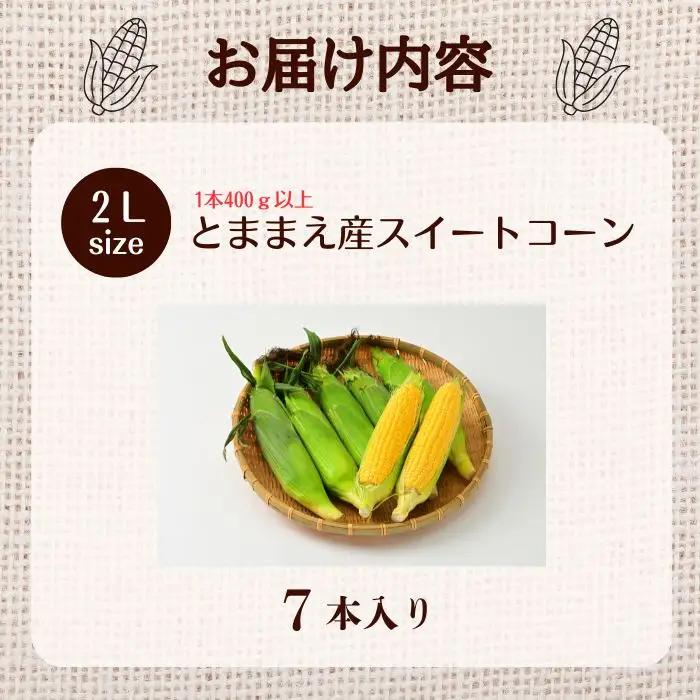 【2026年8月上旬から発送】北海道とままえ産 スイートコーン 2Lサイズ 7本 とうもろこし 北海道産 先行 予約 受付 甘い 旬 産地直送 野菜 冷蔵 北海道 苫前町 とままえ rum10