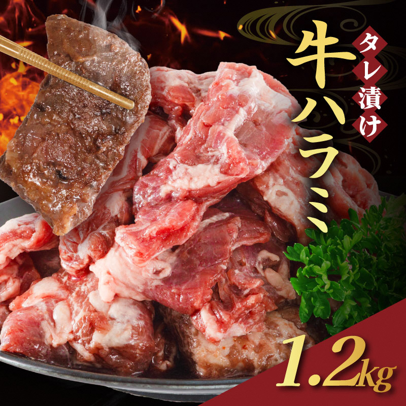 【訳あり】 タレ漬け 牛ハラミ 1.2kg 4P 肉 牛 牛肉 ハラミ 味付け タレ ハラミ肉 BBQ バーベキュー 焼き肉 焼肉 焼肉セット アウトドア キャンプ ギフト 真空 パック 小分け 300g 個包装 簡単 便利 冷凍 人気 京都 南丹市 神戸 ミートフーズ