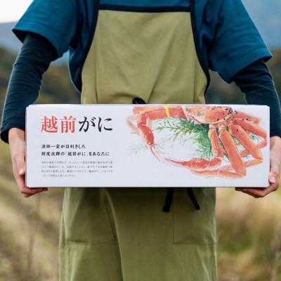 ふるさと納税 美浜町 【2025年11月より順次発送】“訳あり”《越前がに》【小サイズ2杯】カニスプーン付き |  | 02