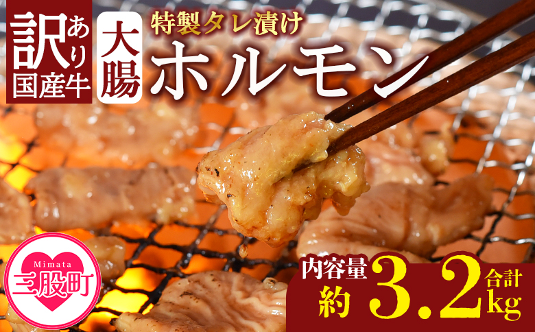 ＜【訳あり】国産牛ホルモン大腸（特製タレ漬け）計3.2kg(400g×8袋)＞大腸を秘伝の特製タレに漬け込みました！【MI428-nk】【中村食肉】