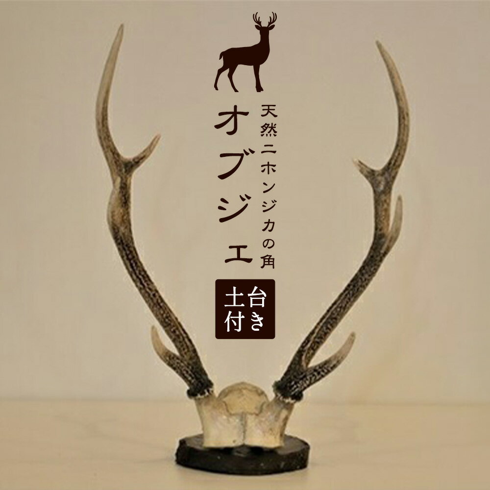 【ふるさと納税】天然ニホンジカの角 オブジェ(土台付き) 一般財団法人さなごうち 《90日以内に出荷予定(土日祝除く)》| インテリア 鹿 角 つの オブジェ 飾り インテリア 装飾 徳島県 佐那河内村【配送不可地域あり】※離島