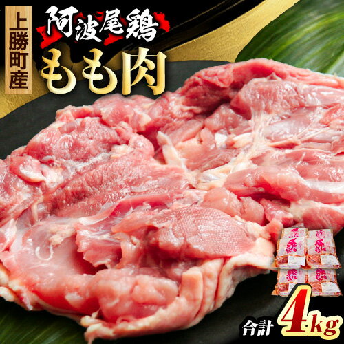 【ふるさと納税】 阿波尾鶏 鶏肉 もも肉 500g × 8パック 計4kg 岸農園 《3月中旬頃から出荷予定》｜ 鶏肉 もも肉 お肉 鳥肉 とり肉 阿波尾鶏 地鶏 大容量 小分け 国産 徳島県産 唐揚げ から揚げ からあげ アウトドア キャンプ 冷凍 もも 肉 便利 送料無料