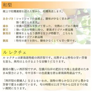先行予約 フルーツ 定期便 全4回 フルーツ定期便 Aコース (桃2kg、シャインマスカット1房、和梨3kg、ル レクチェ1kg) 新潟県 フルーツ 定期便