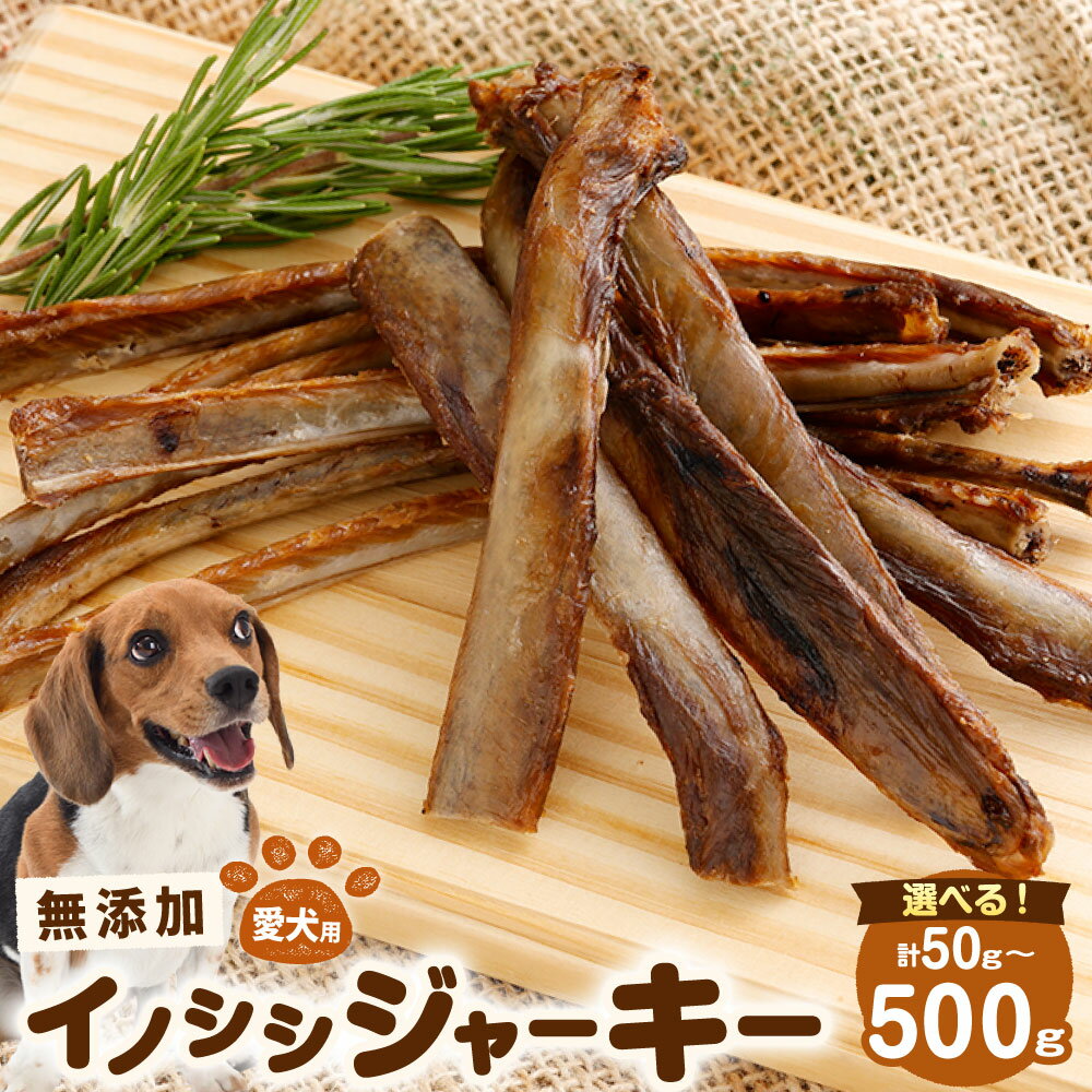 【ふるさと納税】〈選べる内容量〉無添加 イノシシ ジャーキー 1袋 ( 50g×1袋 ) ／ 3袋( 50g×3袋 ) ／ 5袋( 50g×5袋 ) ／ 1袋( 100g×1袋 ) ／ 3袋( 100g×3袋 ) ／ 5袋( 100g×5袋 ) ペットフード 愛犬用 SDGs おやつ リュウキュウイノシシ 猪 徳之島 天城町 送料無料