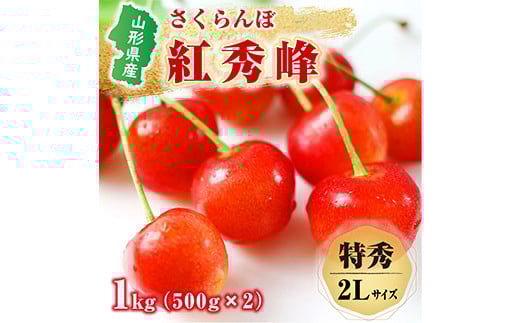 《先行予約 2024年度発送》山形県産さくらんぼ（紅秀峰）1kg（500g×2パック） FSY-0227