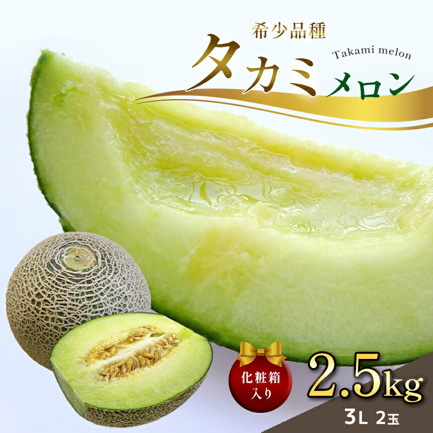 【ふるさと納税】メロン タカミ 完熟 フルーツ 3L 2玉【2027年 先行予約】 化粧箱入り | 栃木県 真岡市産 苺に並ぶ特産品 高糖度 大玉 青肉 旬 フルーツ 果物 ギフト 贈り物 プレゼント 贈答 産地直送 栃木県 真岡市 送料無料