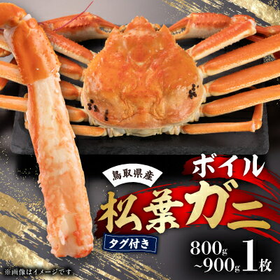 【ふるさと納税】鳥取県産　タグ付きボイル松葉ガニ大1枚(800～900g)【配送不可地域：離島・北海道・沖縄県】【1536352】