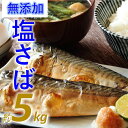 【ふるさと納税】バラ凍結で便利！塩さば（約5kg） 無添加 塩サバ バラ凍結 大容量 鯖 さば お弁当.B334