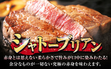 【全12回定期便】佐賀牛 ヒレシャトーブリアン 200g×5枚 吉野ヶ里町/丸宗ミート[FDP008]