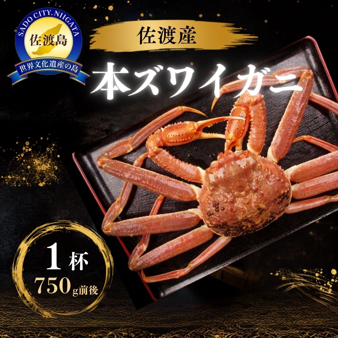 【先行予約】佐渡産 本ずわいがに 750g前後 1杯195961-0012